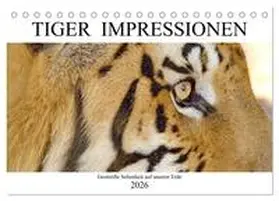 Fraatz / CALVENDO |  TIGER IMPRESSIONEN Gestreifte Seltenheit auf unserer Erde (Tischkalender 2026 DIN A5 quer), CALVENDO Monatskalender | Sonstiges |  Sack Fachmedien