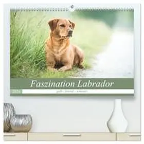 Strunz / CALVENDO |  Faszination Labrador - gelb, foxred, schwarz (hochwertiger Premium Wandkalender 2026 DIN A2 quer), Kunstdruck in Hochglanz | Sonstiges |  Sack Fachmedien