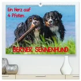 Starick / CALVENDO |  Ein Herz auf 4 Pfoten - Berner Sennenhund (hochwertiger Premium Wandkalender 2026 DIN A2 quer), Kunstdruck in Hochglanz | Sonstiges |  Sack Fachmedien