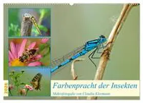 Kleemann / CALVENDO |  Farbenpracht der Insekten (Wandkalender 2026 DIN A2 quer), CALVENDO Monatskalender | Sonstiges |  Sack Fachmedien