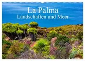 Müller / CALVENDO |  La Palma - Landschaften und Meer (Wandkalender 2026 DIN A2 quer), CALVENDO Monatskalender | Sonstiges |  Sack Fachmedien