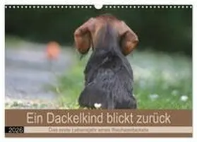 Mielewczyk / CALVENDO |  Ein Dackelkind blickt zurück (Wandkalender 2026 DIN A3 quer), CALVENDO Monatskalender | Sonstiges |  Sack Fachmedien