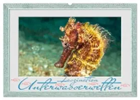Gödecke / CALVENDO |  Faszination Unterwasserwelten (Wandkalender 2026 DIN A2 quer), CALVENDO Monatskalender | Sonstiges |  Sack Fachmedien