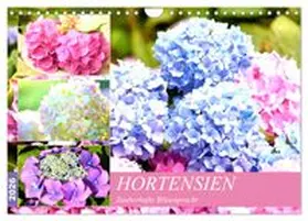 CALVENDO / Hurley |  Hortensien. Zauberhafte Blütenpracht (Wandkalender 2026 DIN A4 quer), CALVENDO Monatskalender | Sonstiges |  Sack Fachmedien
