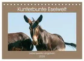 Bölts / CALVENDO |  Kunterbunte Eselwelt - Liebenswerte Langohren (Tischkalender 2026 DIN A5 quer), CALVENDO Monatskalender | Sonstiges |  Sack Fachmedien