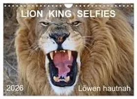 Fraatz / CALVENDO |  LION KING SELFIES Löwen hautnah (Wandkalender 2026 DIN A4 quer), CALVENDO Monatskalender | Sonstiges |  Sack Fachmedien