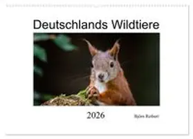 CALVENDO / Reibert |  Deutschlands Wildtiere (Wandkalender 2026 DIN A2 quer), CALVENDO Monatskalender | Sonstiges |  Sack Fachmedien