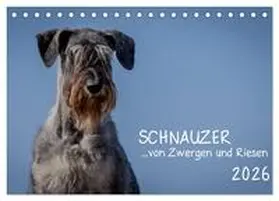 Janz / CALVENDO |  Schnauzer... von Zwergen und Riesen 2026 (Tischkalender 2026 DIN A5 quer), CALVENDO Monatskalender | Sonstiges |  Sack Fachmedien