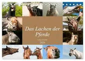 Bölts / CALVENDO |  Das Lachen der Pferde - Lustige Gesichter (Tischkalender 2026 DIN A5 quer), CALVENDO Monatskalender | Sonstiges |  Sack Fachmedien