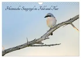 CALVENDO / Trapp |  Heimische Singvögel in Feld und Flur (Wandkalender 2026 DIN A4 quer), CALVENDO Monatskalender | Sonstiges |  Sack Fachmedien
