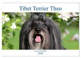 Heepmann / CALVENDO |  Tibet Terrier Theo (Wandkalender 2026 DIN A3 quer), CALVENDO Monatskalender | Sonstiges |  Sack Fachmedien