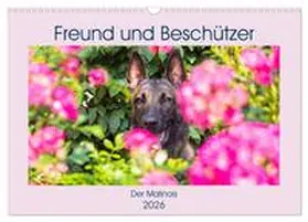 Starick / CALVENDO |  Freund und Beschützer - Der Malinois (Wandkalender 2026 DIN A3 quer), CALVENDO Monatskalender | Sonstiges |  Sack Fachmedien
