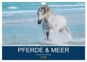 Eckerl Tierfotografie / CALVENDO |  PFERDE & MEER (Wandkalender 2026 DIN A4 quer), CALVENDO Monatskalender | Sonstiges |  Sack Fachmedien