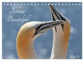 Ott / CALVENDO |  Schöne Basstölpel (Tischkalender 2026 DIN A5 quer), CALVENDO Monatskalender | Sonstiges |  Sack Fachmedien