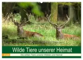CALVENDO / Brack |  Wilde Tiere unserer Heimat (Wandkalender 2026 DIN A2 quer), CALVENDO Monatskalender | Sonstiges |  Sack Fachmedien
