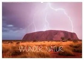 Schaarschmidt / CALVENDO |  Wunder Natur II (Wandkalender 2026 DIN A2 quer), CALVENDO Monatskalender | Sonstiges |  Sack Fachmedien