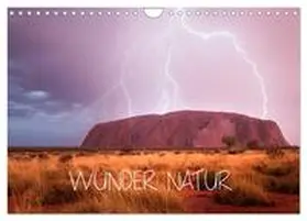 Schaarschmidt / CALVENDO |  Wunder Natur II (Wandkalender 2026 DIN A4 quer), CALVENDO Monatskalender | Sonstiges |  Sack Fachmedien
