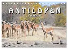 STYPPA / CALVENDO |  Antilopen, schön und schnell (Tischkalender 2026 DIN A5 quer), CALVENDO Monatskalender | Sonstiges |  Sack Fachmedien