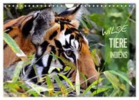Bergermann / CALVENDO |  Wilde Tiere Indiens (Wandkalender 2026 DIN A4 quer), CALVENDO Monatskalender | Sonstiges |  Sack Fachmedien