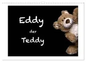 Immephotography / CALVENDO |  Eddy, der Teddy (Wandkalender 2026 DIN A3 quer), CALVENDO Monatskalender | Sonstiges |  Sack Fachmedien