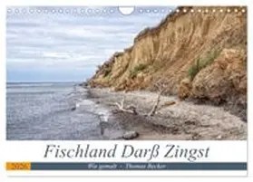 CALVENDO / Becker |  Fischland Darß Zingst - wie gemalt (Wandkalender 2026 DIN A4 quer), CALVENDO Monatskalender | Sonstiges |  Sack Fachmedien