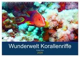 CALVENDO / Hess |  Wunderwelt Korallenriffe (Wandkalender 2026 DIN A3 quer), CALVENDO Monatskalender | Sonstiges |  Sack Fachmedien
