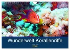 CALVENDO / Hess |  Wunderwelt Korallenriffe (Wandkalender 2026 DIN A4 quer), CALVENDO Monatskalender | Sonstiges |  Sack Fachmedien