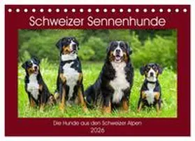 Starick / CALVENDO |  Schweizer Sennenhunde - die Hunde aus den Schweizer Alpen (Tischkalender 2026 DIN A5 quer), CALVENDO Monatskalender | Sonstiges |  Sack Fachmedien