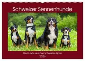 Starick / CALVENDO |  Schweizer Sennenhunde - die Hunde aus den Schweizer Alpen (Wandkalender 2026 DIN A2 quer), CALVENDO Monatskalender | Sonstiges |  Sack Fachmedien