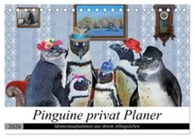 CALVENDO / glandarius |  Pinguine privat Planer (Tischkalender 2026 DIN A5 quer), CALVENDO Monatskalender | Sonstiges |  Sack Fachmedien