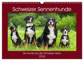 Starick / CALVENDO |  Schweizer Sennenhunde - die Hunde aus den Schweizer Alpen (Wandkalender 2026 DIN A3 quer), CALVENDO Monatskalender | Sonstiges |  Sack Fachmedien