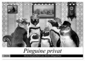 CALVENDO / glandarius |  Pinguine privat (Tischkalender 2026 DIN A5 quer), CALVENDO Monatskalender | Sonstiges |  Sack Fachmedien