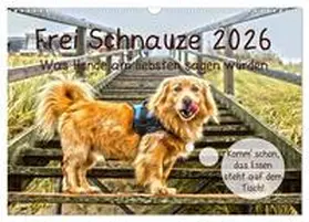 Lehmann (Hrsg.) / CALVENDO |  Frei Schnauze 2026. Was Hunde am liebsten sagen würden (Wandkalender 2026 DIN A3 quer), CALVENDO Monatskalender | Sonstiges |  Sack Fachmedien