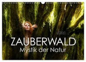 Allgaier (ullision) / CALVENDO |  ZAUBERWALD Mystik der Natur (Wandkalender 2026 DIN A3 quer), CALVENDO Monatskalender | Sonstiges |  Sack Fachmedien