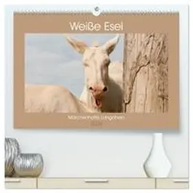 Bölts / CALVENDO |  Weiße Esel - Märchenhafte Langohren (hochwertiger Premium Wandkalender 2026 DIN A2 quer), Kunstdruck in Hochglanz | Sonstiges |  Sack Fachmedien