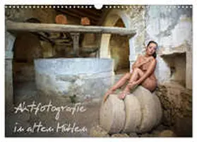 Geiser / CALVENDO |  Aktfotografie in alten Mühlen (Wandkalender 2026 DIN A3 quer), CALVENDO Monatskalender | Sonstiges |  Sack Fachmedien