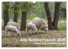 Butke / CALVENDO |  Alte Nutztierrassen 2026 (Wandkalender 2026 DIN A3 quer), CALVENDO Monatskalender | Sonstiges |  Sack Fachmedien