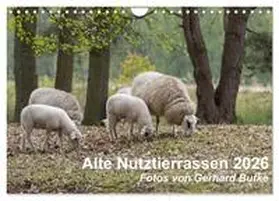 Butke / CALVENDO |  Alte Nutztierrassen 2026 (Wandkalender 2026 DIN A4 quer), CALVENDO Monatskalender | Sonstiges |  Sack Fachmedien