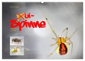 Schmidbauer / CALVENDO |  ui - Spinne. Kleine Spinnen - groß im Bild (Wandkalender 2026 DIN A2 quer), CALVENDO Monatskalender | Sonstiges |  Sack Fachmedien