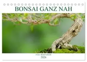 CALVENDO / Schmidt |  Bonsai ganz nah (Tischkalender 2026 DIN A5 quer), CALVENDO Monatskalender | Sonstiges |  Sack Fachmedien