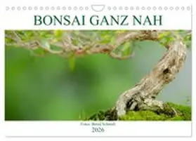 CALVENDO / Schmidt |  Bonsai ganz nah (Wandkalender 2026 DIN A4 quer), CALVENDO Monatskalender | Sonstiges |  Sack Fachmedien