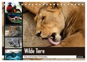 CALVENDO / Enderlein - Bethari Bengals |  Wilde Tiere - Die schönsten Portraits (Tischkalender 2026 DIN A5 quer), CALVENDO Monatskalender | Sonstiges |  Sack Fachmedien
