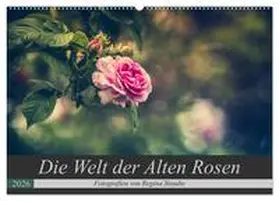 Steudte / CALVENDO |  Die Welt der Alten Rosen (Wandkalender 2026 DIN A2 quer), CALVENDO Monatskalender | Sonstiges |  Sack Fachmedien