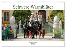 Ludwig / CALVENDO |  Schwere Warmblüter 2026 (Wandkalender 2026 DIN A2 quer), CALVENDO Monatskalender | Sonstiges |  Sack Fachmedien