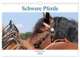 Ludwig / CALVENDO |  Schwere Pferde 2026 (Wandkalender 2026 DIN A4 quer), CALVENDO Monatskalender | Sonstiges |  Sack Fachmedien