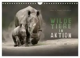 Schmidbauer / CALVENDO |  WILDE TIERE IN AKTION (Wandkalender 2026 DIN A4 quer), CALVENDO Monatskalender | Sonstiges |  Sack Fachmedien