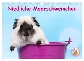 Hutfluss / CALVENDO |  Niedliche Meerschweinchen (Wandkalender 2026 DIN A4 quer), CALVENDO Monatskalender | Sonstiges |  Sack Fachmedien