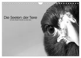 CALVENDO / Skrypzak |  Die Seelen der wilden Tiere (Wandkalender 2026 DIN A4 quer), CALVENDO Monatskalender | Sonstiges |  Sack Fachmedien