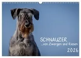 Janz / CALVENDO |  Schnauzer... von Zwergen und Riesen 2026 (Wandkalender 2026 DIN A3 quer), CALVENDO Monatskalender | Sonstiges |  Sack Fachmedien