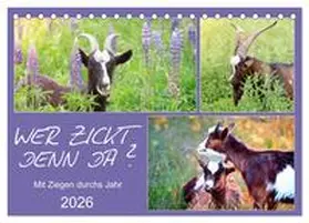 Löwer / CALVENDO |  Wer zickt denn da? Mit Ziegen durchs Jahr (Tischkalender 2026 DIN A5 quer), CALVENDO Monatskalender | Sonstiges |  Sack Fachmedien